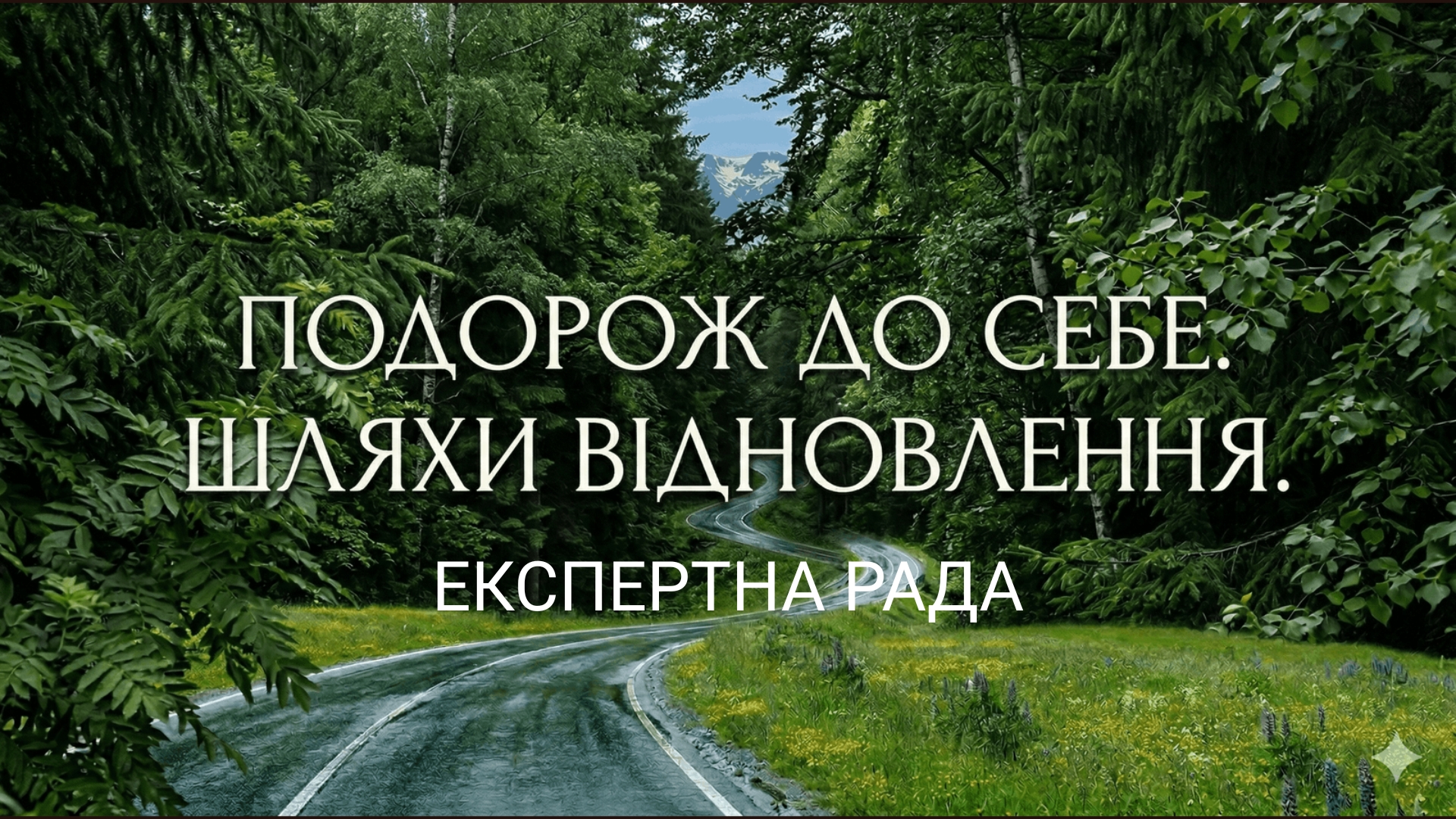 Експертна рада національної програми «Подорож до себе. Шляхи відновлення».